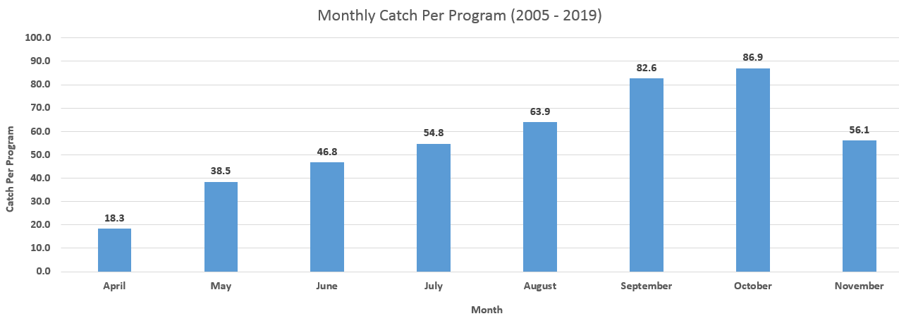 Catch by Month