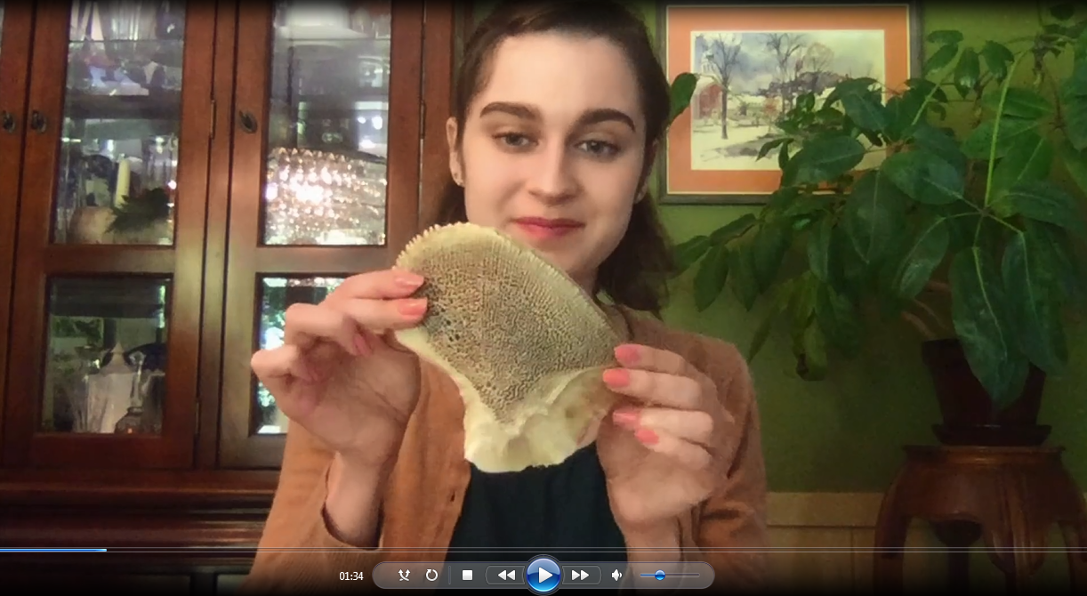 Virtual Volunteers and Interns