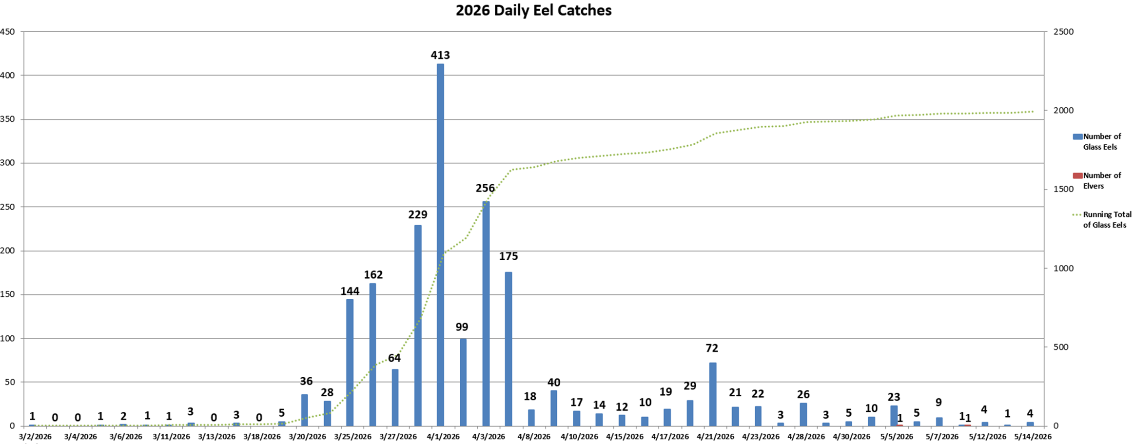 Daily Catches