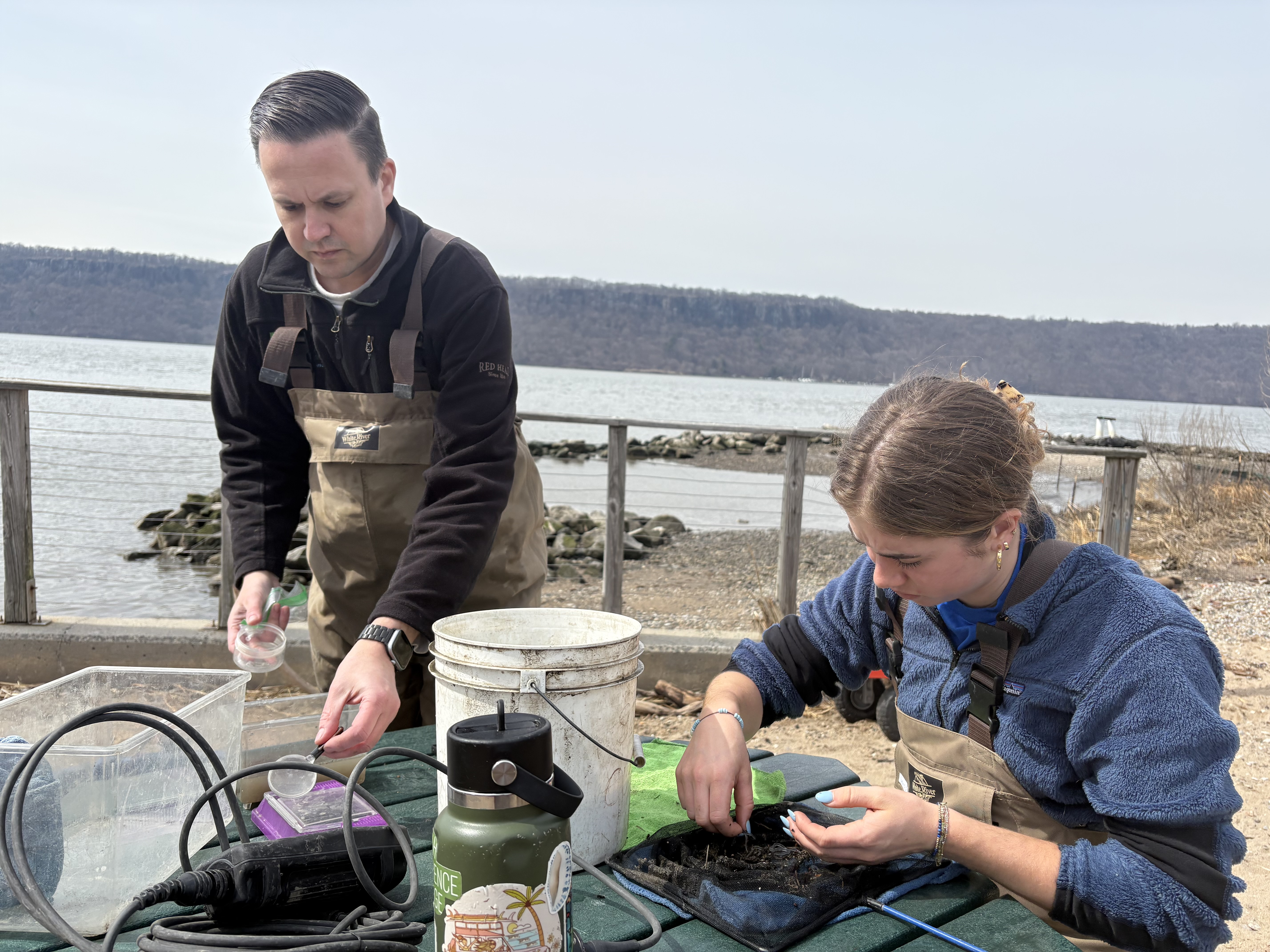 Eel Sampling