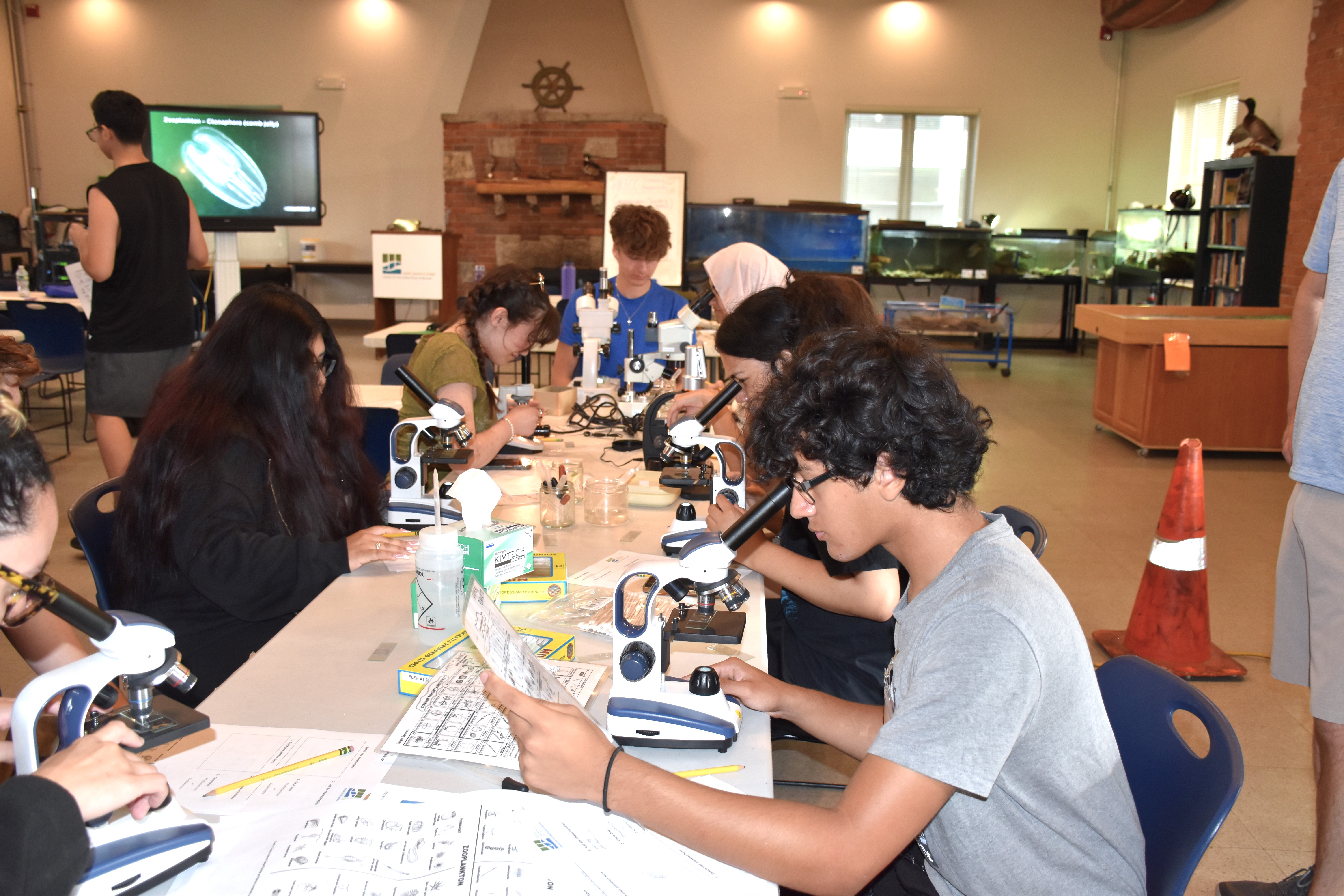Students looking at plankton