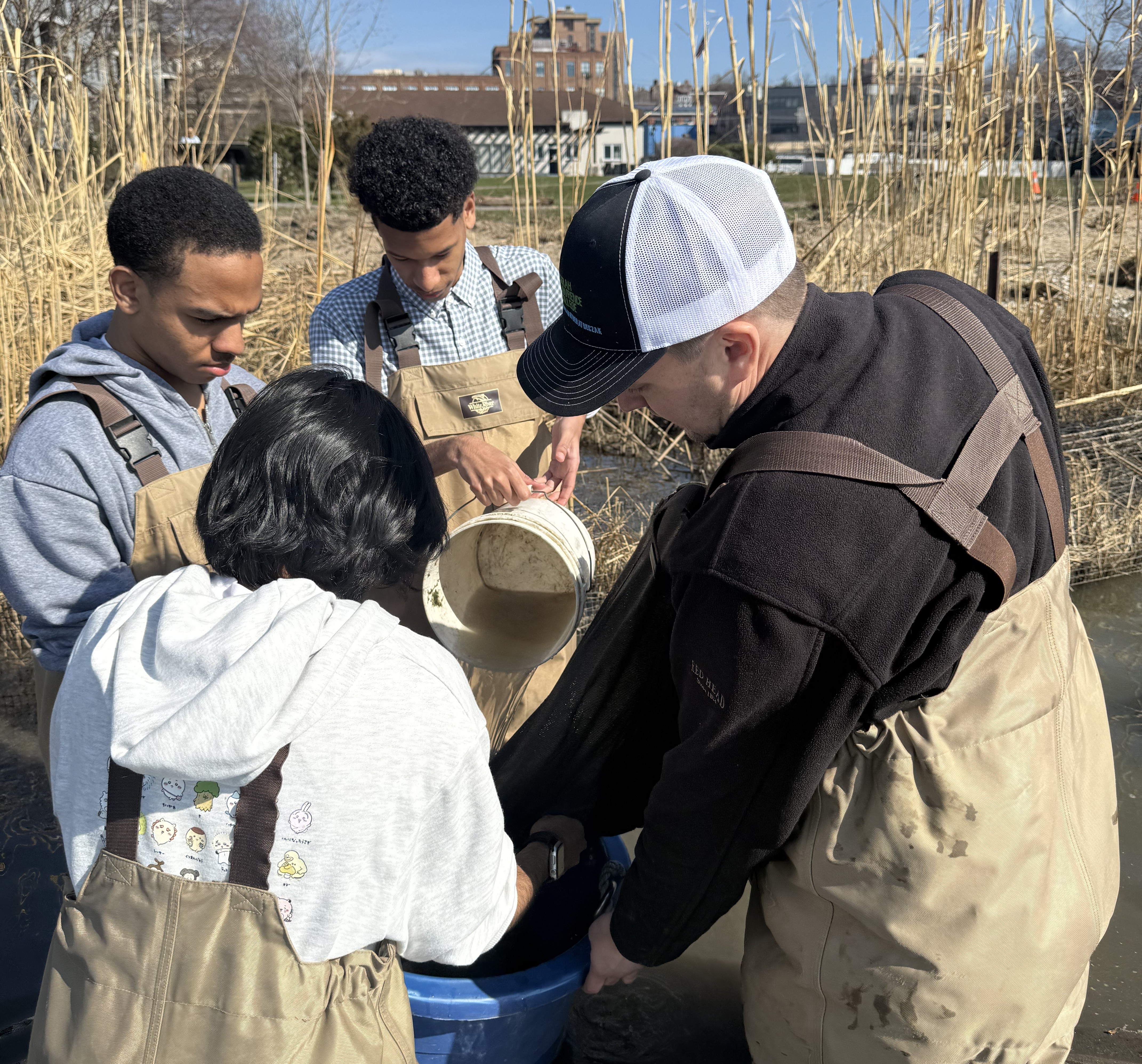 Eel Sampling