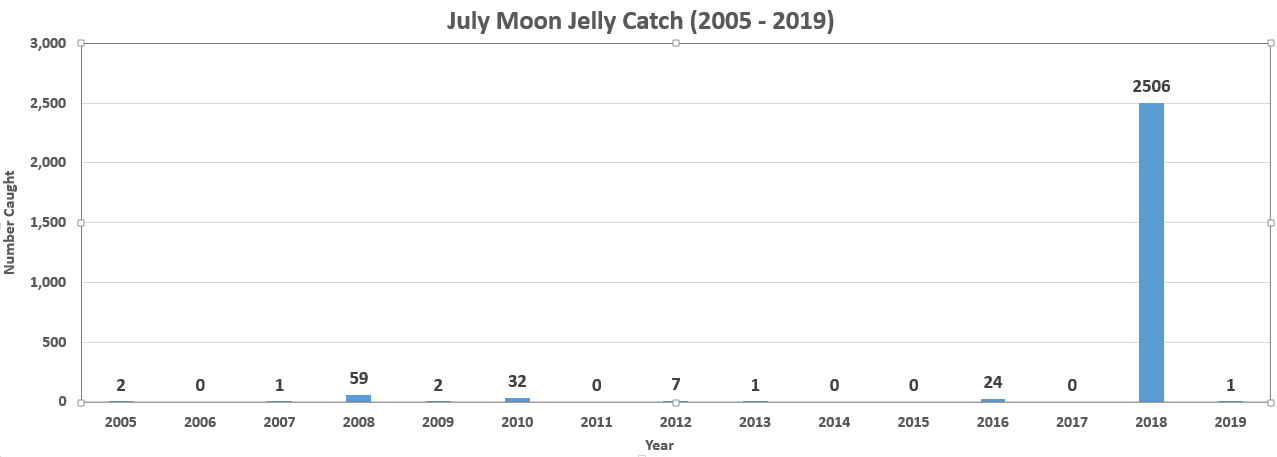 Moon Jelly Catch