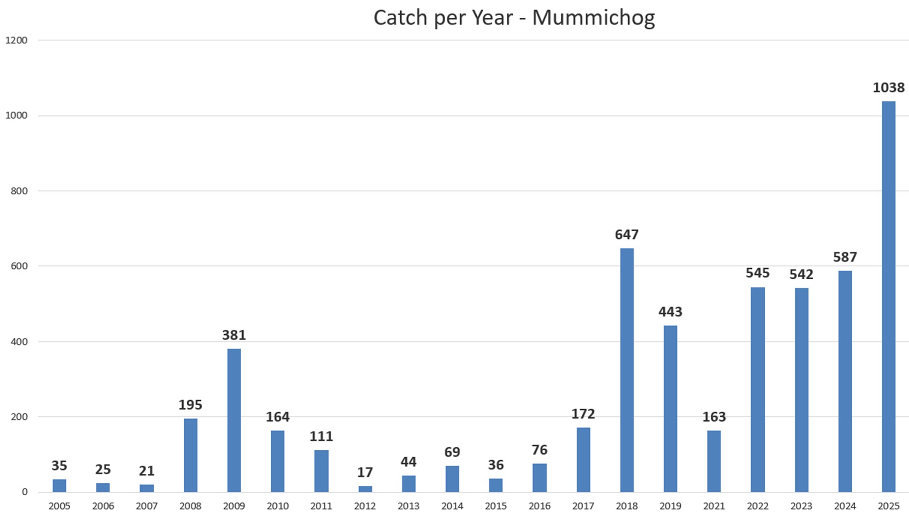 Mummichog Catch Data