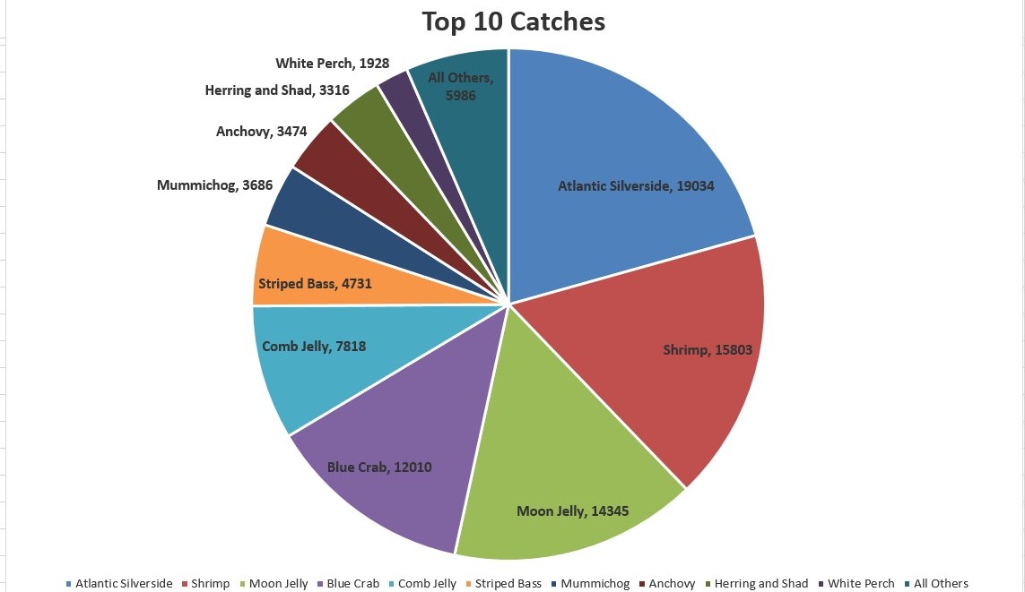 Top 10 Catches