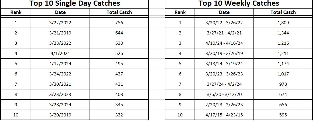 topcatches.jpg