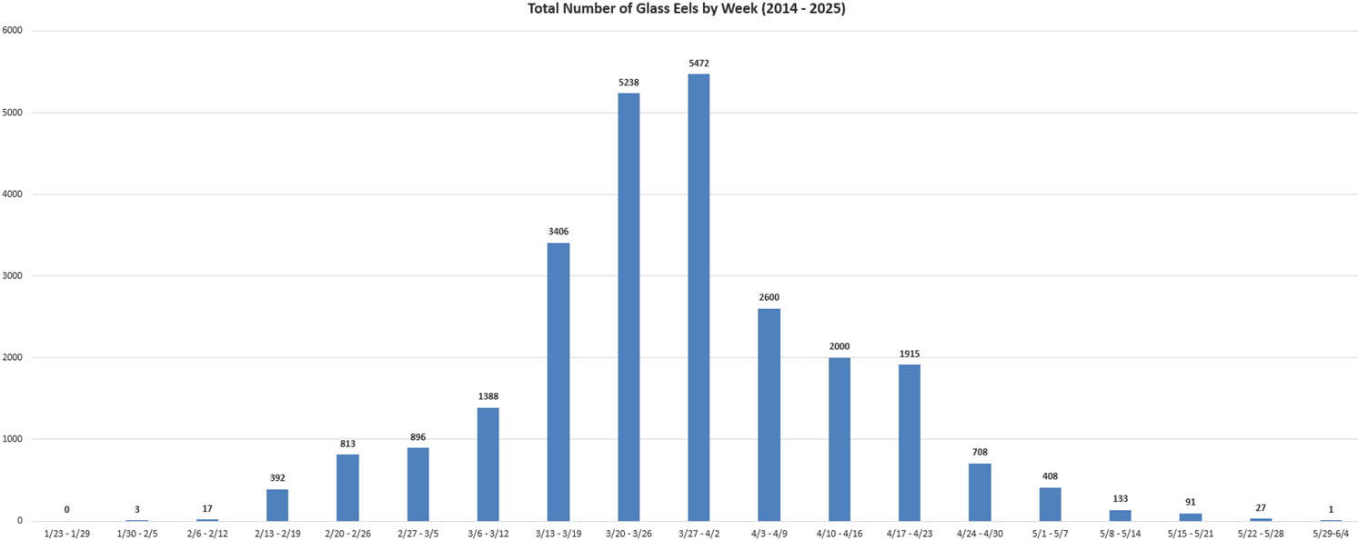 Weekly Totals Over 12 Years