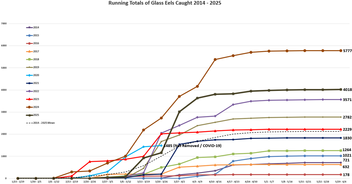 Yearly Totals