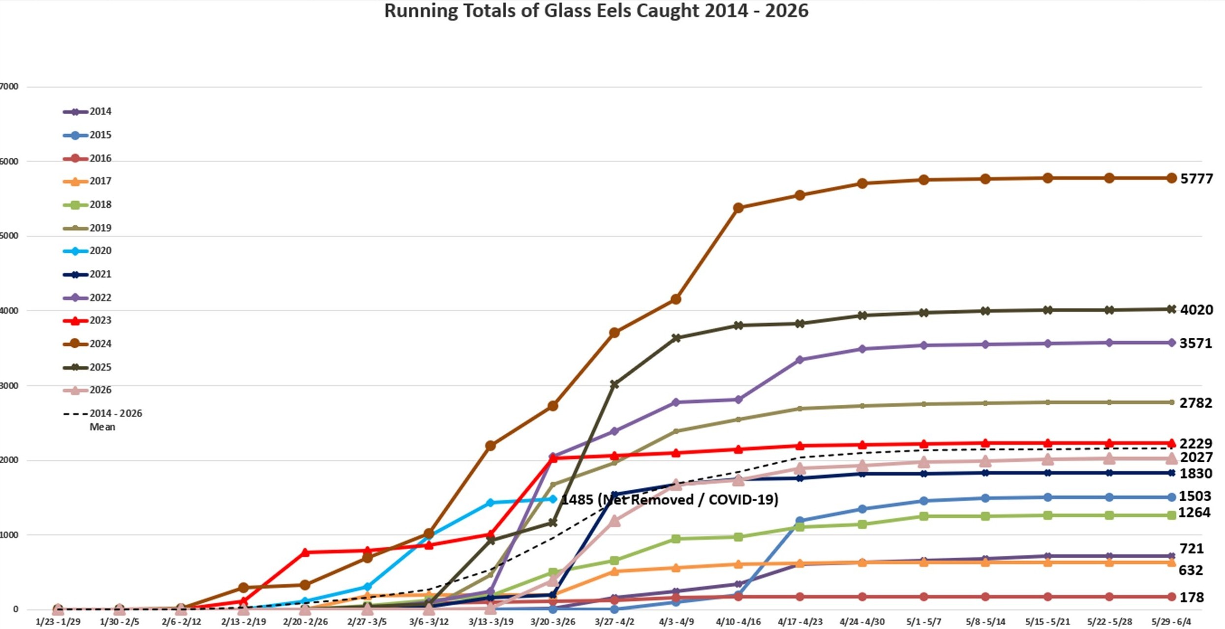 Yearly Eel Running Total